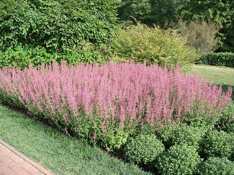 170 Longwood Gardens [2008 August 23].JPG - Longwood Gardens in Pennsylvania